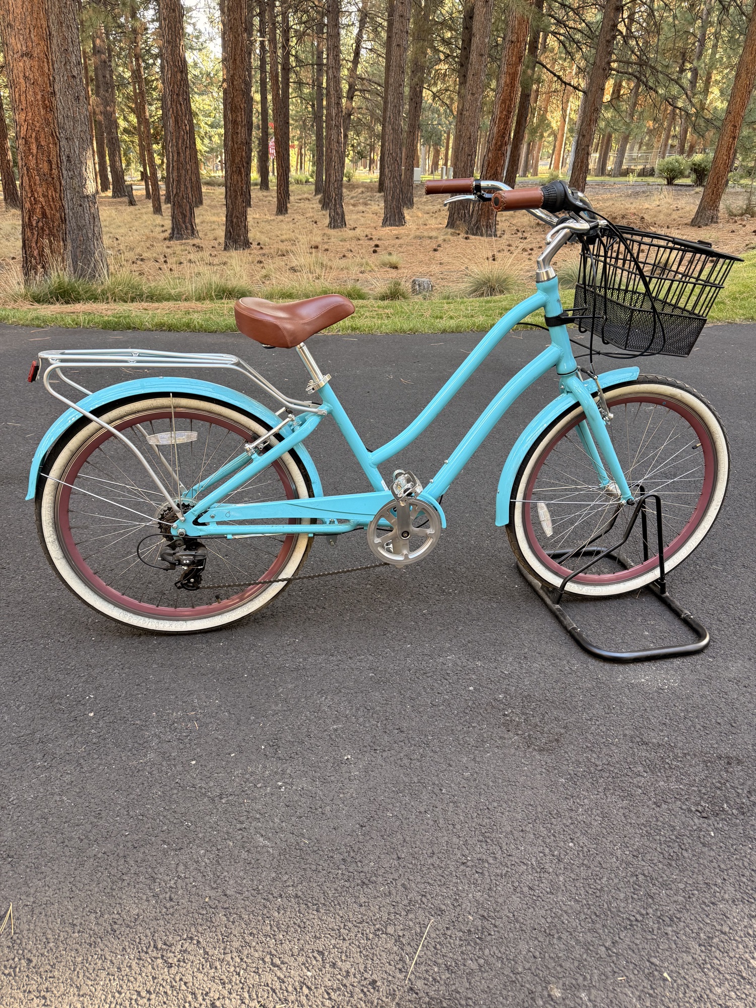 Beach Cruiser with Front Basket