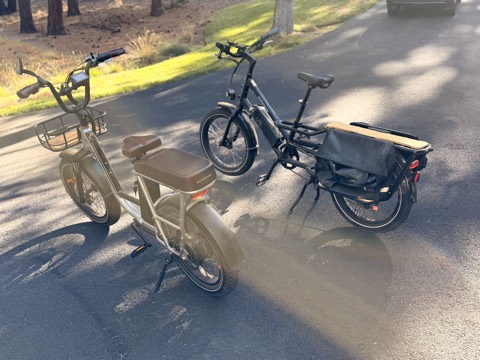 Pair of Electric Rad Bikes Cruiser and Wagon